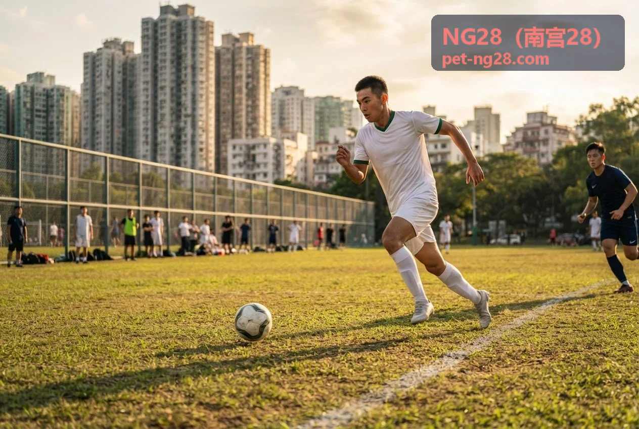 NG28南宫28最新动态资讯